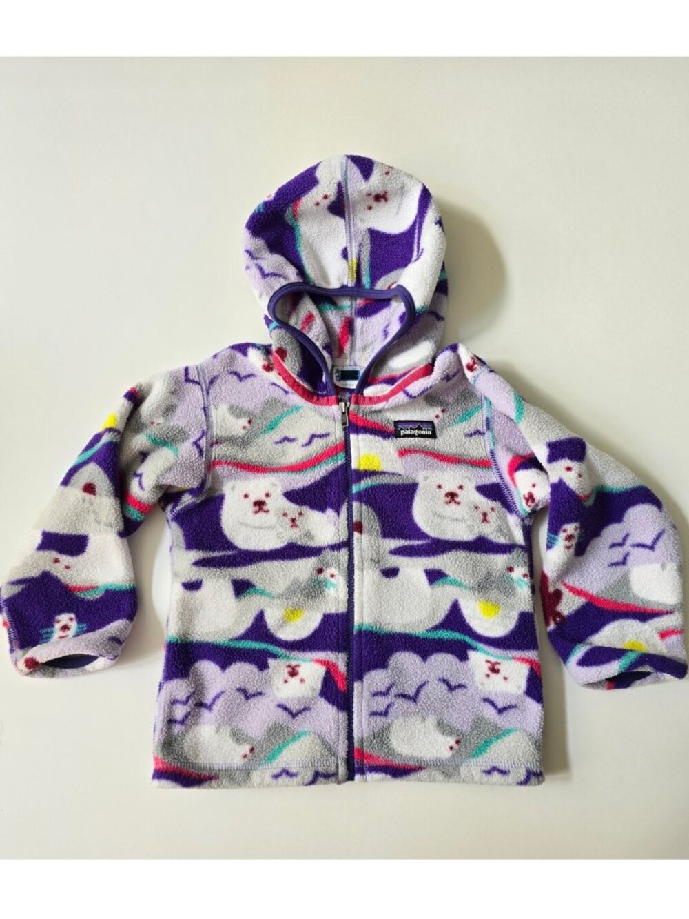 vintage Patagonia 3T Polar Bear Fleece, Micro D Hoodie Jacket, FA15 Retro Print